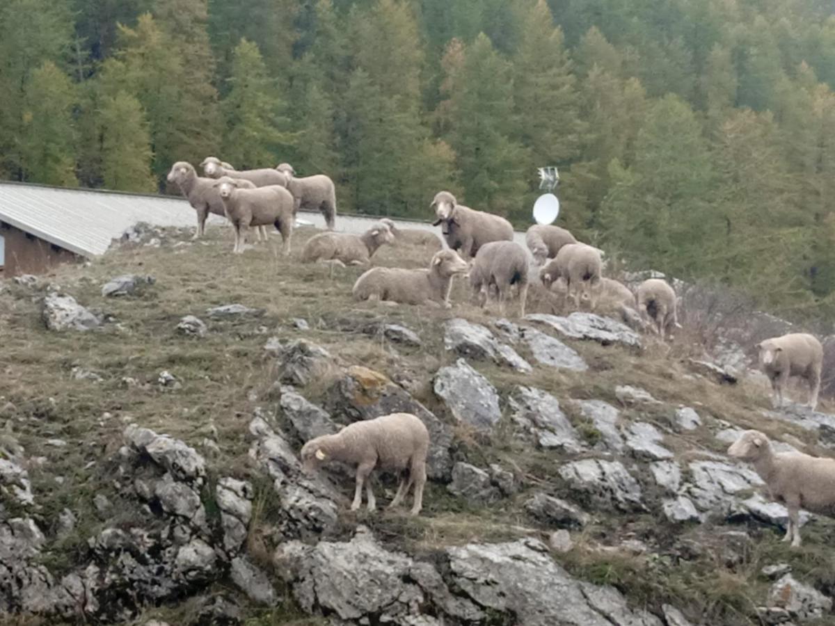 Residences De Melisa La Foux D'Allos Zewnętrze zdjęcie